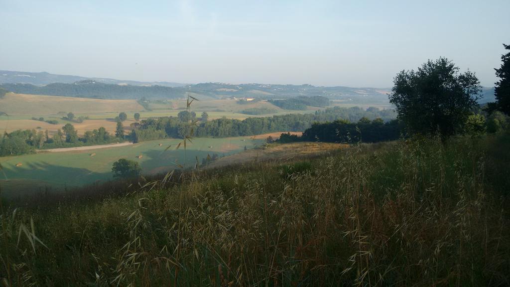 Agriturismo I Moricci Peccioli Eksteriør billede