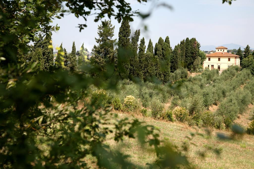 Agriturismo I Moricci Peccioli Eksteriør billede